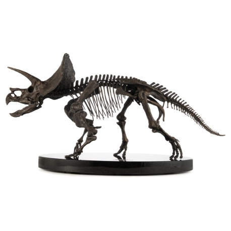 Jurassic World ECC Elite Creature Line Statue 1/12 Triceratops Fossil Skeleton Bronze 33 cm