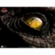 The Lost World: Jurassic Park Réplica Male Velociraptor Eye Prop 23 cm