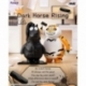 Alexander The Fat TigerBlind Box Minifiguras The Real Crazy Horse Expositor (8)
