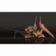 Aldnoha.Zero Maqueta Moderoid Plastic Model Kit KG-6 Sleipnir 15 cm
