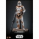 Star Wars: The Clone Wars Action Figure 1/6 212th Attack Battalion Clone Trooper Deluxe Version 30 cm