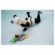 Seductive Beast's Figura BUZZmod 1/12 Fruit No. 002 Ranran 16 cm