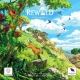Rewild South America board game (Spanish) by MasQueOca Publishing