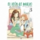 The Lion of March No. 03 of 19 (Spanish)
