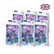 Gundam Card Game Starter Deck Display ST-13 (6 Decks) (English) by Bandai TCG