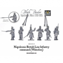 Napoleonic British Line Infantry Command (Waterloo)