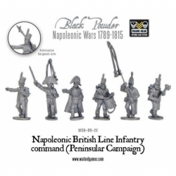 Napoleonic British Line Infantry Command (Peninsular)