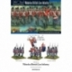 Napoleonic British Line Infantry (Waterloo)