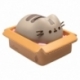 Pusheen Hucha