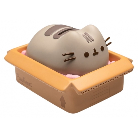 Pusheen Hucha