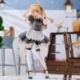 Oshi no Ko Figura PVC 1/6 Ruby (Cat Maid Ver.) 27 cm