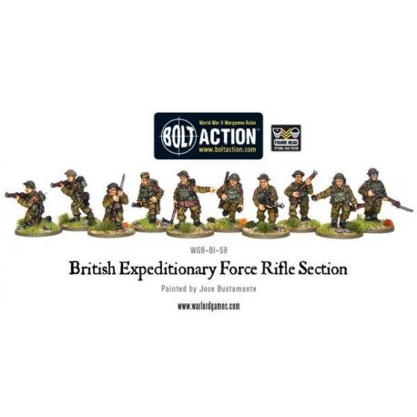 BEF section