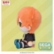 Hatsune Miku: Colorful Stage! Mysekai Plush Figure Akito Shinonome (S) 13 cm