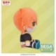 Hatsune Miku: Colorful Stage! Mysekai Plush Figure Akito Shinonome (S) 13 cm