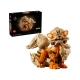 Pack Lego Pokémon - Arcanine from Lego