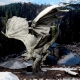 D&D Icons of the Realms Miniatures: Adult Dragon Premium Figure