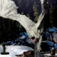 D&D Icons of the Realms Miniatures: Adult Dragon Premium Figure