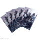 MTG The Hobbit Art Sleeves Gollum by Gamegenic
