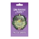 Una Aventura Salvaje: Senderos expansion by Maldito Games (Spanish)