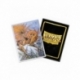 Standard Size Dual Art The Millerax Covers - Dragon Shield