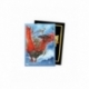 Standard Dual Art The Raid Sleeves (100 Units) - Dragon Shield