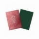 Fundas Standard Matte Gruul Clans (100 unidades) Magic - Dragon Shield