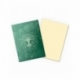 Fundas Standard Matte Selesnya Conclase (100 unidades) Magic - Dragon Shield