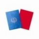Fundas Standard Matte Izzet League (100 unidades) Magic - Dragon Shield