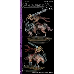 BOX SET HOODED RIDER (sm)