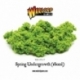 SPRING UNDERGROWTH