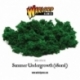 SUMMER UNDERGROWTH