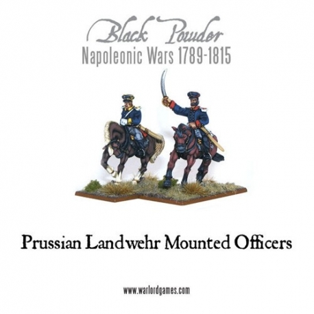 Napoleonic - Prussian Landwehr Officer Mounted (2)