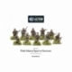 Polish Infantry Squad With Great Coats (10 Man)