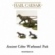 Celt Warhound Pack