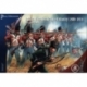 British Napoleonic Line Infantry 1808-1815