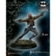 RED HOOD (JASON TOD)