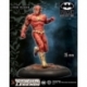 FLASH NEW 52