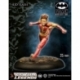 KID FLASH
