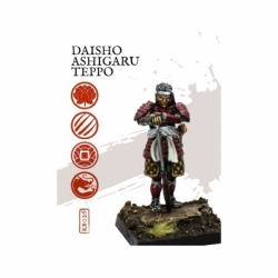 Daisho ashigaru teppo