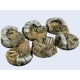 Trench Bases, WRound 40mm (2)
