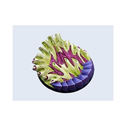Hive Bases, Round 60mm - 2 (1)