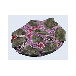 Infested Bases, Elipse 120mm (1)