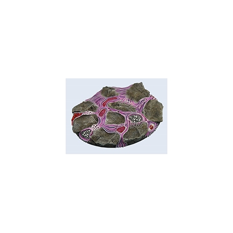 Infested Bases, Elipse 120mm (1)