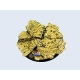 Temple Bases, Round 60mm - 2 (1)
