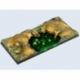 Swamp Bases, Chariot 50x100mm (1)
