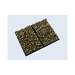 Skulls Bases, 50x75mm (2)