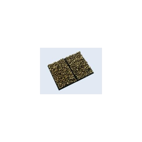 Skulls Bases, 50x75mm (2)