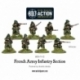 French Army: Infantry Section