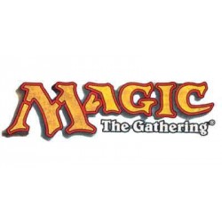 Caja Magic Almacenaje Cartas (50)