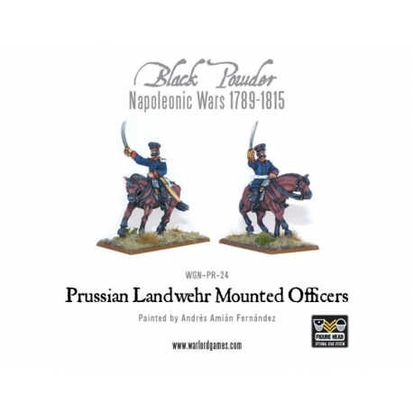Napoleonic - Prussian Landwehr With Pike / Musket (10)